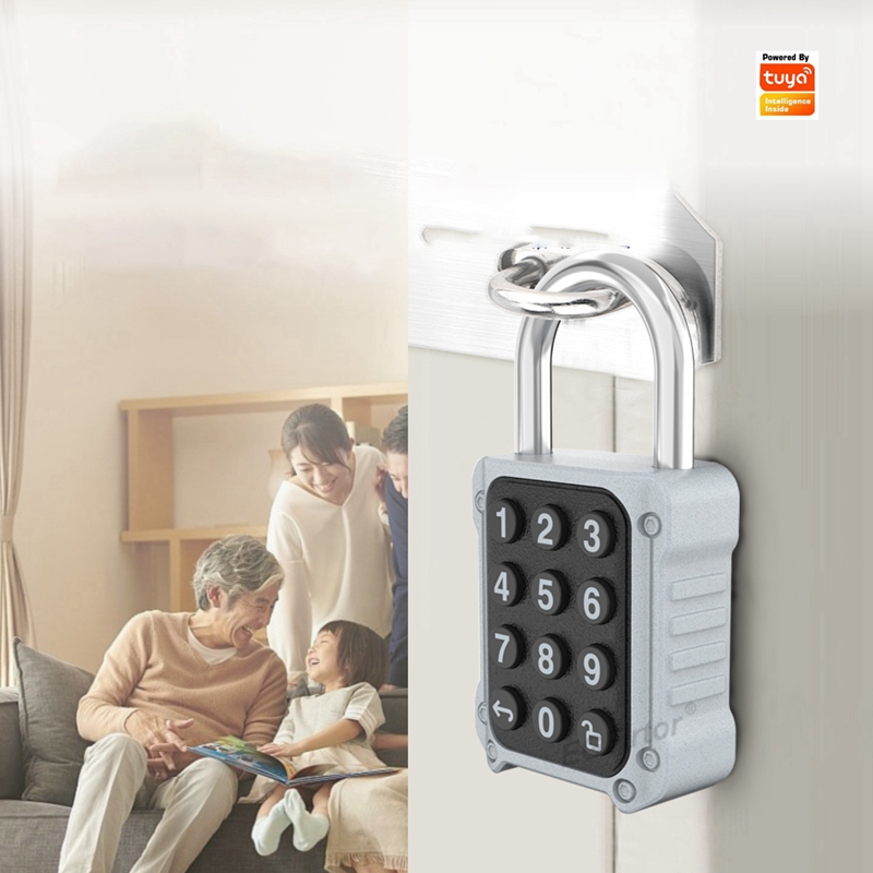 Lockbox Key Secure - Электронный смарт-замок EGFirtor Tuya APP с